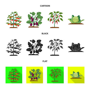 温室和植物图标的向量例证。收集温室和花园矢量图标的股票