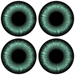 眼睛与色的虹膜设置生成员工纹理照片