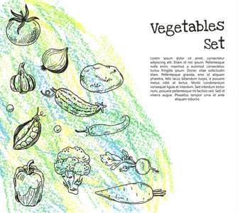 蔬菜素描集