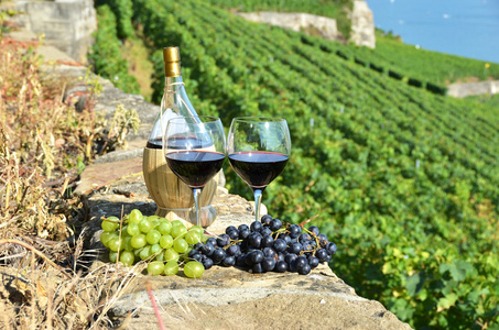 红葡萄酒和葡萄。拉沃葡萄园小地区瑞士