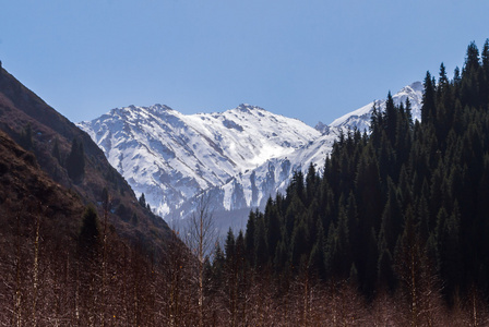 山风景