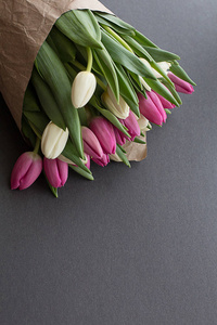 郁金香春天明亮柔嫩在灰色背景的粉红色和白色的花束