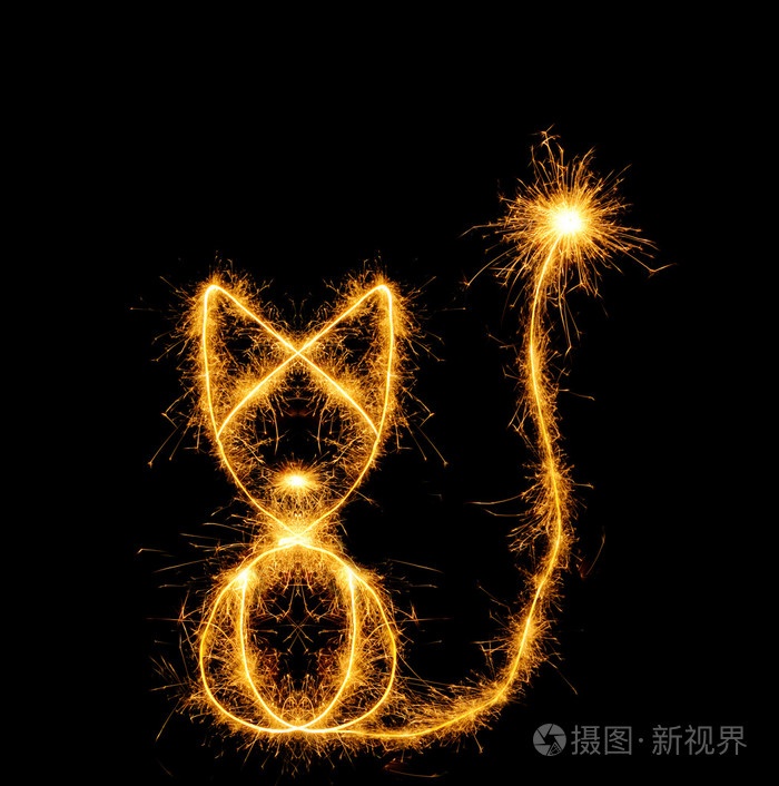 孟加拉火的猫照片-正版商用图片0blolp-摄图新视界