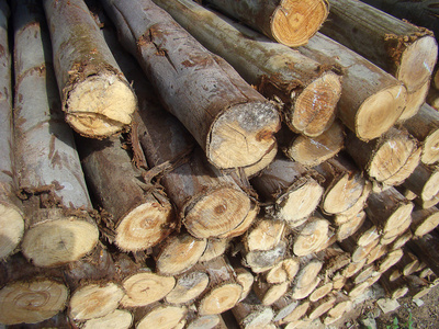木材堆排序