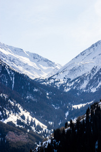 山风景