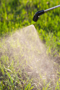 草坪浇水用喷雾器照片