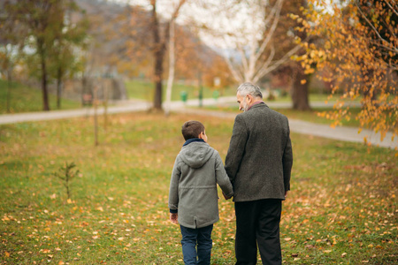 在公园的爷爷和孙子的背部视图。童年。秋天