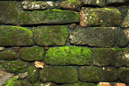 老石砖墙上长满了苔藓