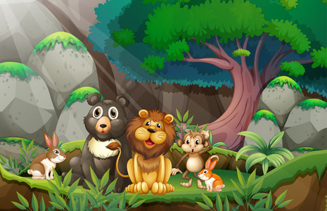讲森林里的动物动画片图片
