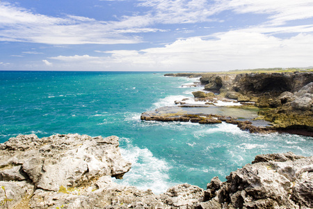 巴巴多斯女歌手图片
