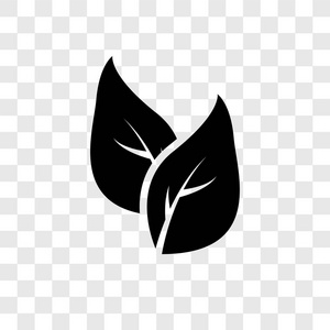 两叶矢量图标在透明背景下隔离, 两叶透明徽标概念照片