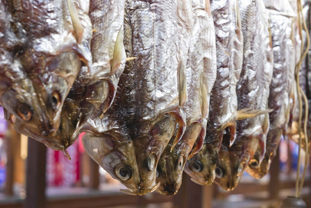 贝加尔白鲑图片