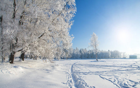 冬季公园在雪中