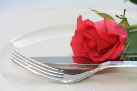 在餐具上的一朵玫瑰