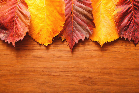 明亮的秋叶。红色, 黄色, 绿叶。木制背景。特写