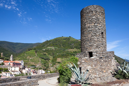 古多里亚城堡坐落在山顶上，俯瞰 t