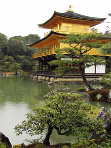 在下雨天的金阁寺