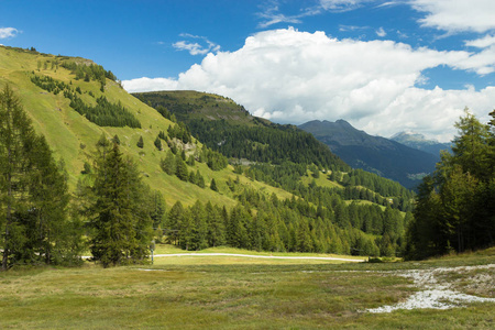 牧场在阿尔卑斯, 南 Tirol, 意大利