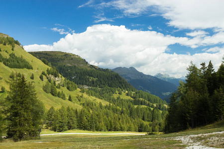 牧场在阿尔卑斯, 南 Tirol, 意大利