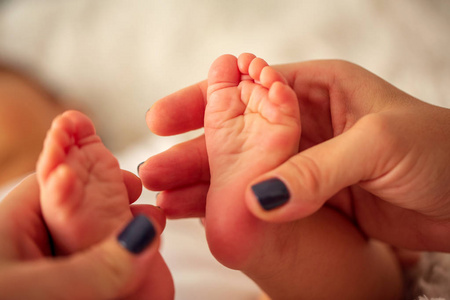 婴儿脚在母亲手中。小男婴的脚, 新生婴儿脚, 新生婴儿手指