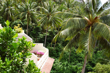 阳台花卉的椰子棕榈观的豪华酒店