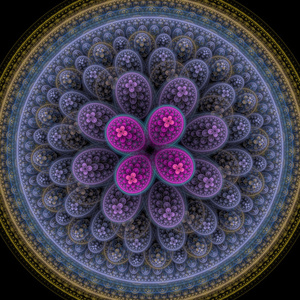 对称生长的细菌