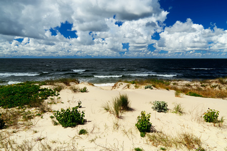 美丽的波罗的海沙丘