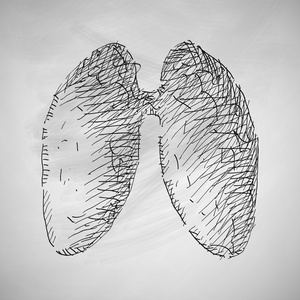 肺图标素描