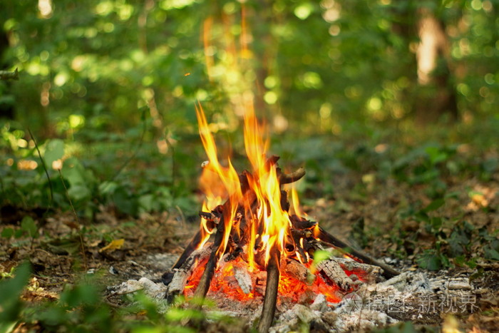 在森林里的篝火