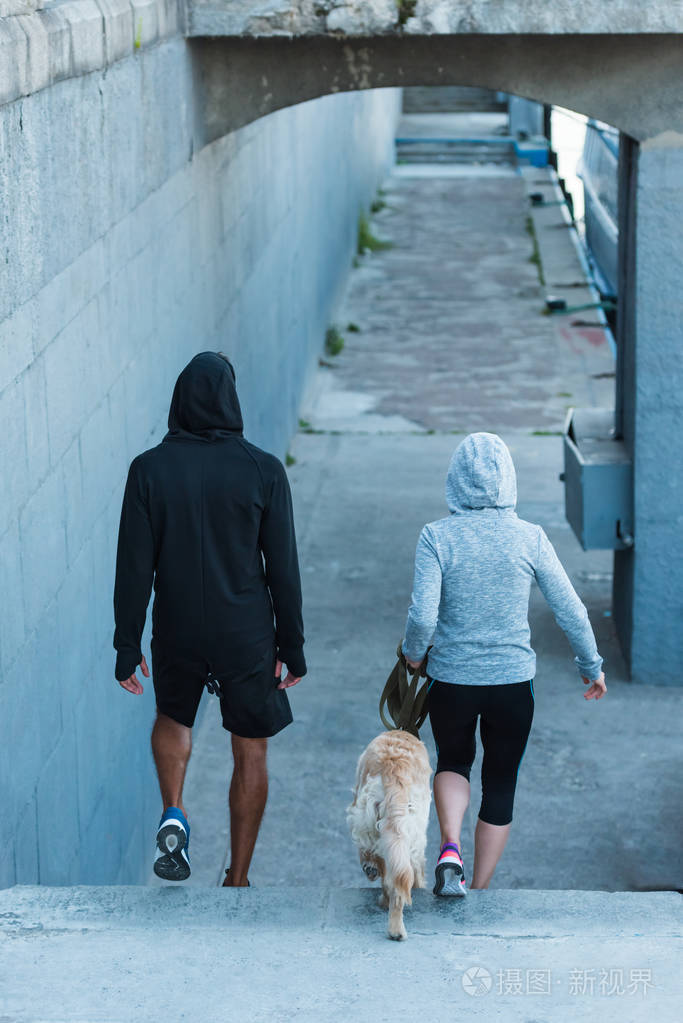 夫妻带着狗散步