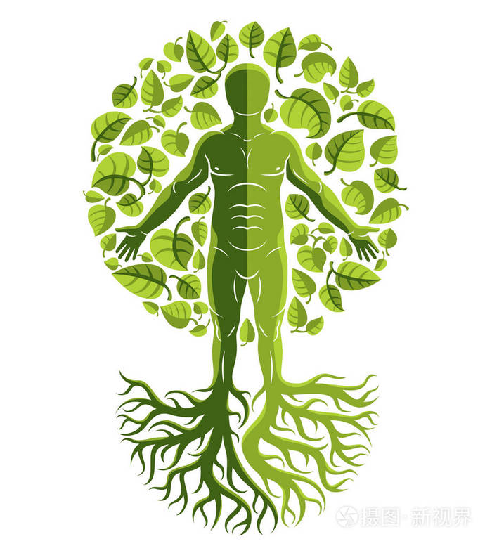 人类的向量个性创造与树的根