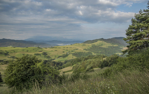 Pieniny 国家公园美丽的景色