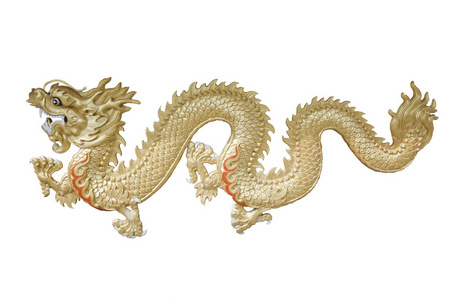 孤立的白色背景上的金龙照片