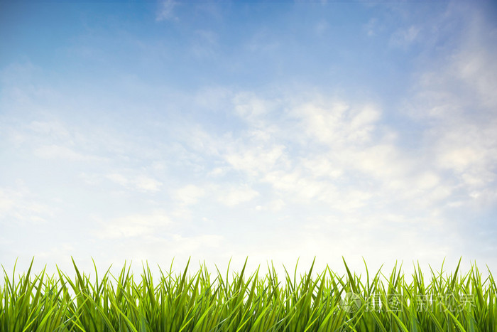 限制暂无图片作者zephyr18新媒体授权标准授权扩展授权如何选择jpg大