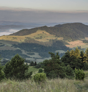 Pieniny 国家公园美丽的景色