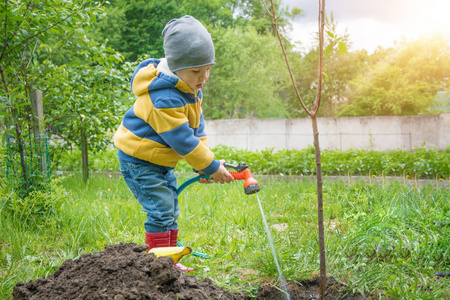 这个小男孩在花园里，浇树种植树苗从软管股