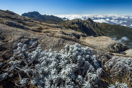 查看 Itatiaia 国家公园的山区徒步旅行