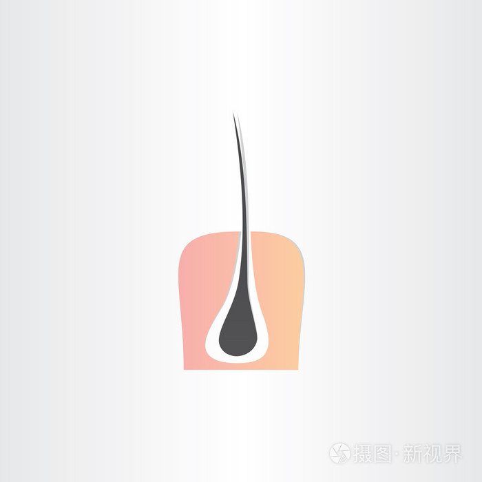 头发根钢绞线和皮肤的象征