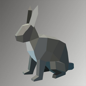 抽象几何小兔子照片