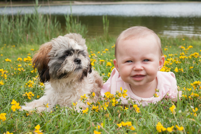 宝宝和小狗在字段与毛茛属植物