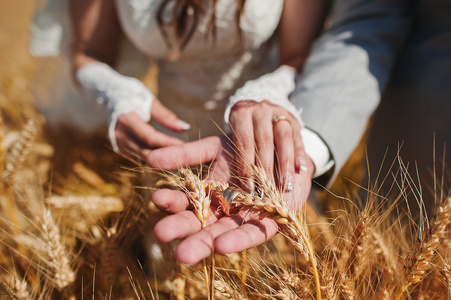 手中夫妇与在小麦上的结婚戒指