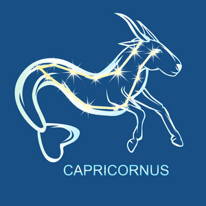 天文星座摩羯座照片