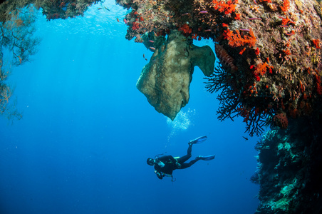 潜水员在水下张照片中，印度尼西亚班达游来游去