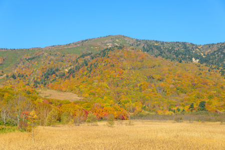 八岛台山红叶