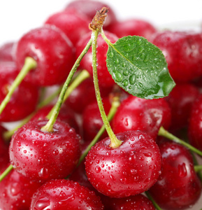 沙果是海棠果图片