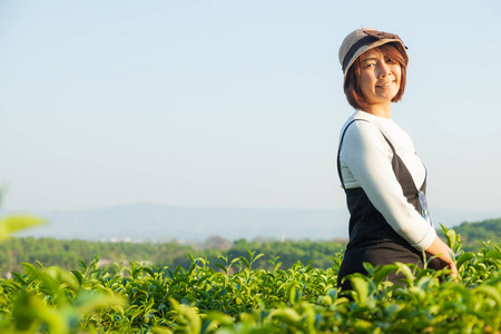 亚洲女人茶园