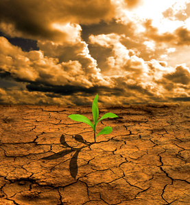 地球绿色表面图片