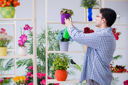 在一家花店与房子植物工作的园丁花店