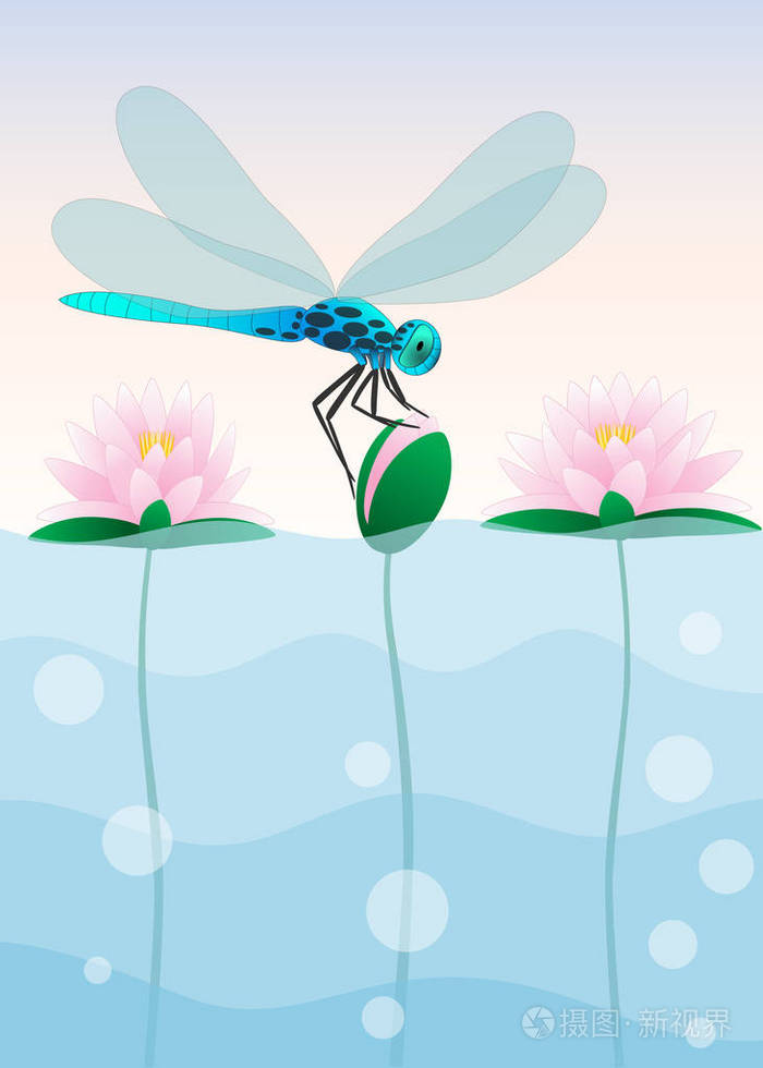 蜻蜓坐在睡莲上插画-正版商用图片0bppus-摄图新视界