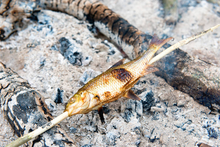 在火上烤的鱼